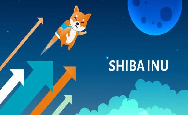 Crypto financial backers ride most recent frenzy, fanning bubble banter. Shiba Inus or Squids?