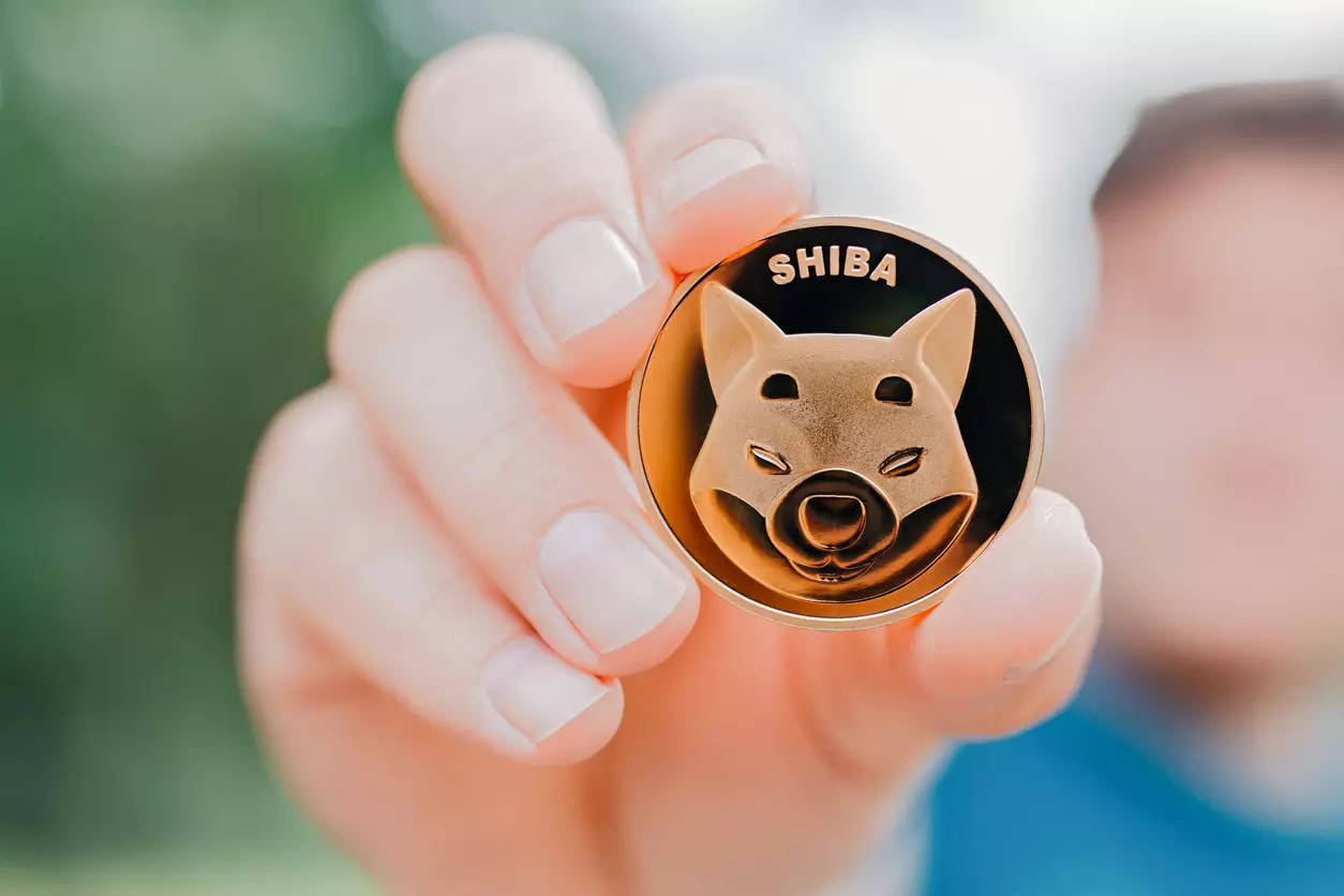 To turn out to be new crypto dear, Shiba Inu coin arrives at highs