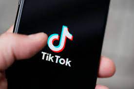 TikTok is pondering allowing its makers to charge membership expenses